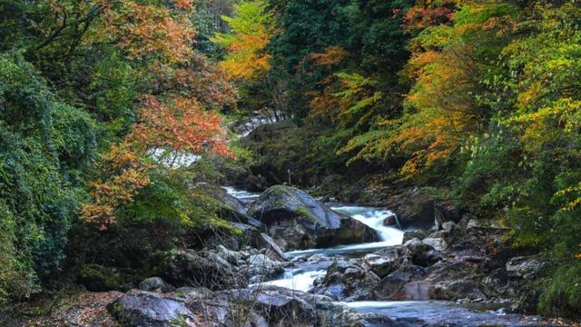 正式通车！全线免费！新挖赏秋天花板小城，绝美彩林不输九寨！地道美食50元吃爽！
