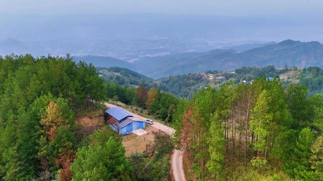 乡间行记：驱车穿行插腊村到岳溪镇，在弯弯山路中找回遗忘的时光