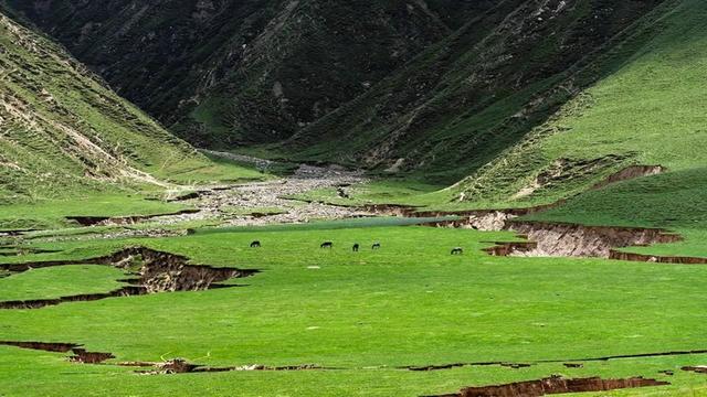 国家一级草场：新疆和田策勒亚门牧场