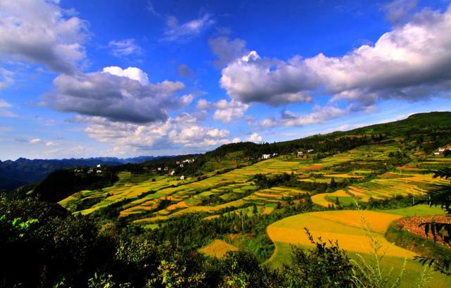 广西凤山县历史沿革及行政区划