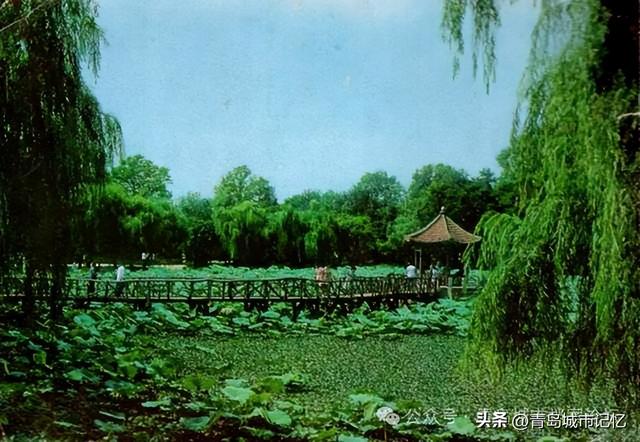 中山公园小西湖凉亭突然坍塌!重建还不到一年