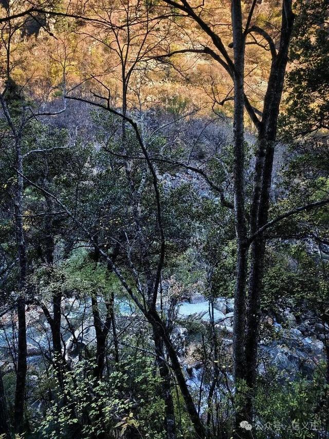 雨崩，一个让人语崩的地方（四）蹦蹦跳跳出雨崩