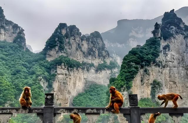 去了3次河南济源，说实话，不吹不黑，这就是真实的济源