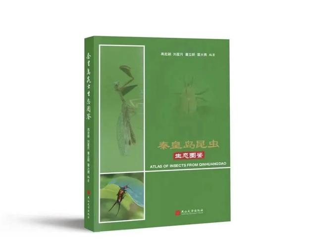 畅游秦皇岛必读书单：让旅行不止于打卡