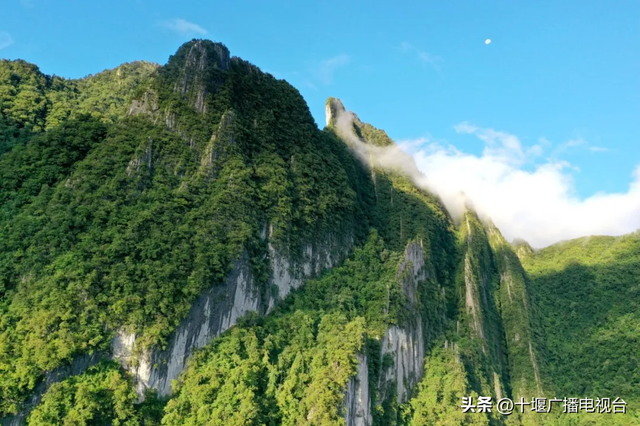 美不胜收！竹山这个地方如诗如画