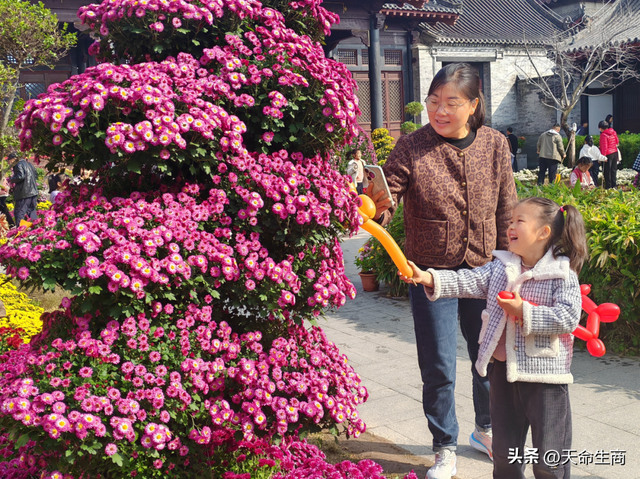 商丘：一城斑斓入画来