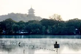 最低2℃！又一波冷空气明晚抵浙江，雨水大风齐上场图片