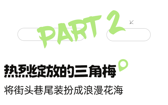 地铁直达！全部免费！成都15个被问爆的赏花地，蓝花楹三角梅美疯了