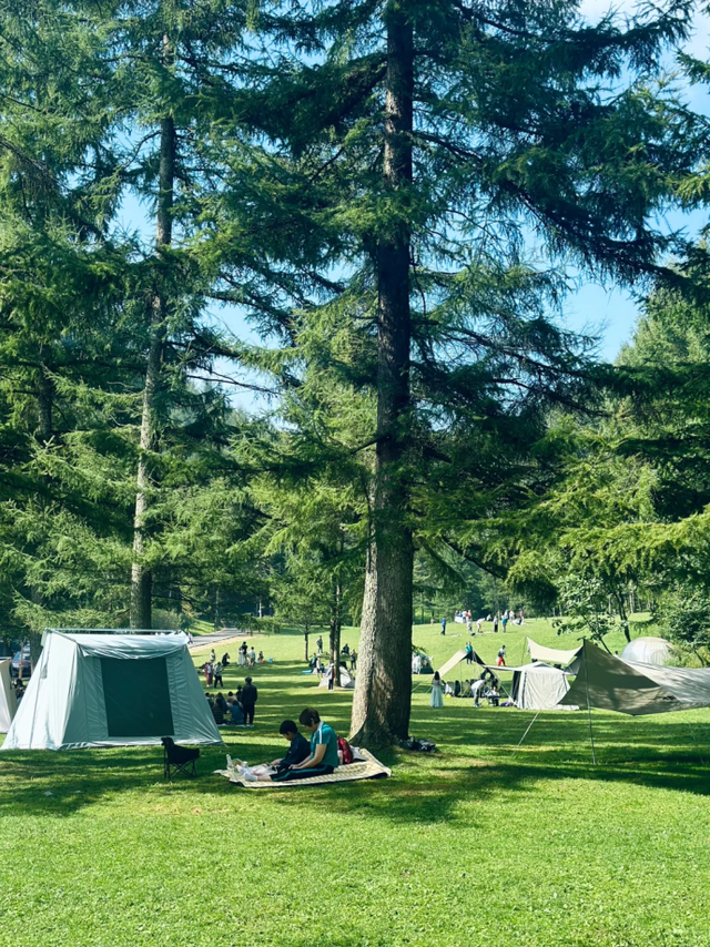 广元不远 周末优选 | 4条旅游路线，带你全方位打卡曾家山