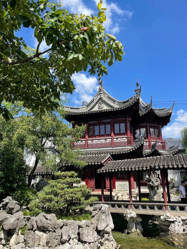 我是上海人	，刚逛完洛阳石窟，憋了 5 个感受不吐不快。