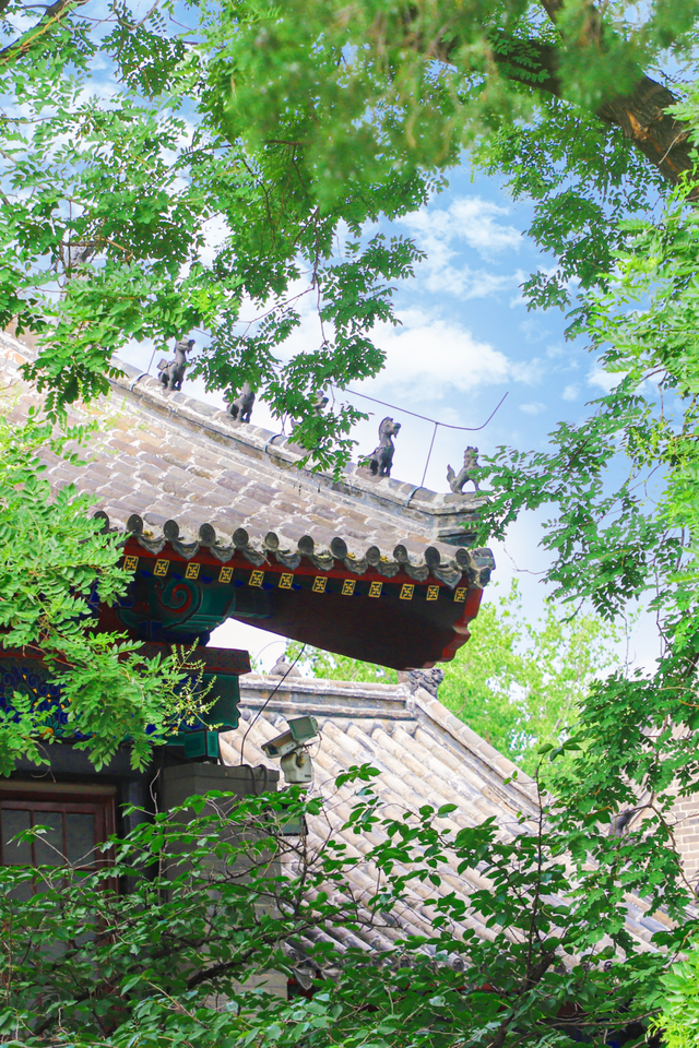 用四时好景打开曲阜三孔景区，留存每一帧中式浪漫！