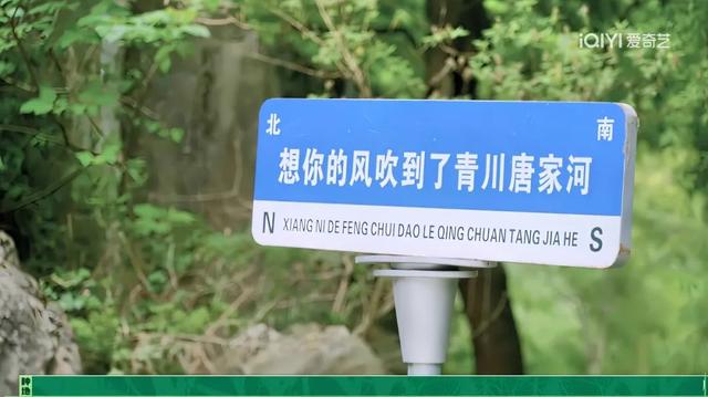 广元不远 周末优选 | 即将入伏，我选择唐家河做我的避暑解药！
