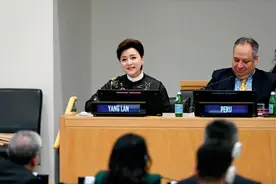 专访杨澜：对话世界 传递中国新声图片