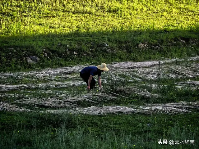 2025年8月自驾高寒川老爷岭草甸最新最全线路，老爷岭可走个环线