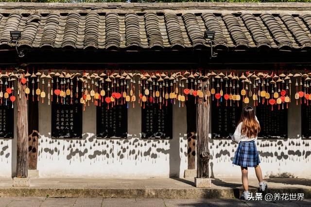 金华，不只有火腿，还有这么多好玩的