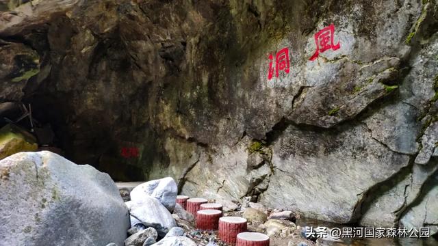 西安2h可达的这处森林公园，美的嘹咋咧！