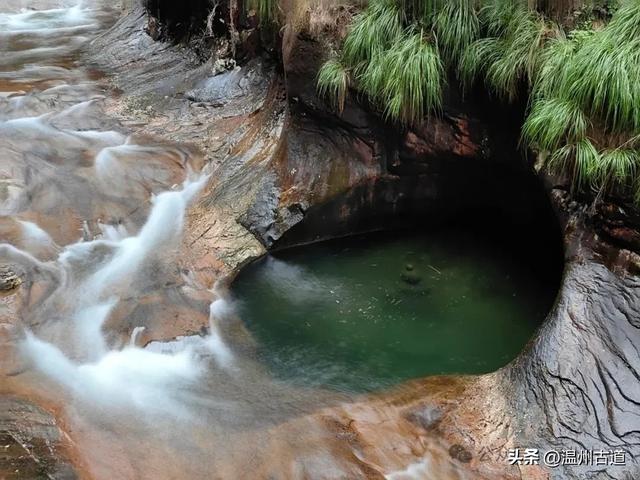 温州这个以畲族始祖命名的4A级景区，秘藏着一座“生物王国”！