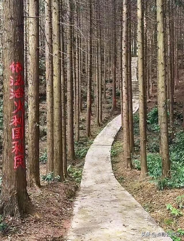 成都邛崃被严重低估的徒步路线，全部免费，未来将爆火，魅力十足