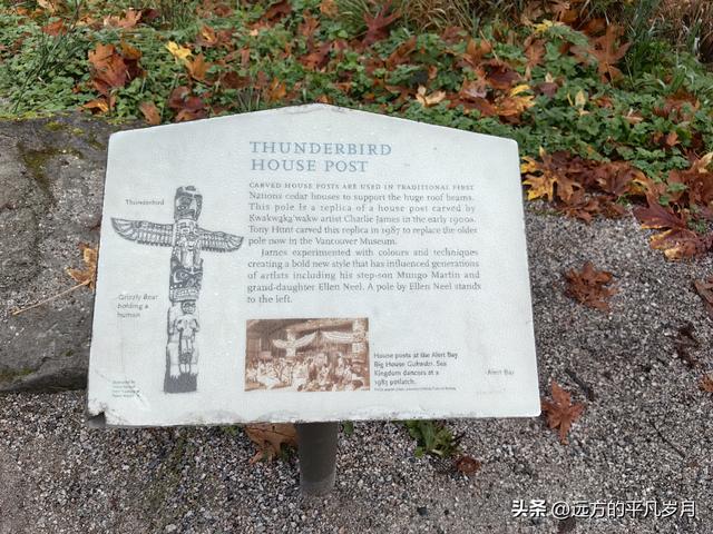 温哥华游记（四）