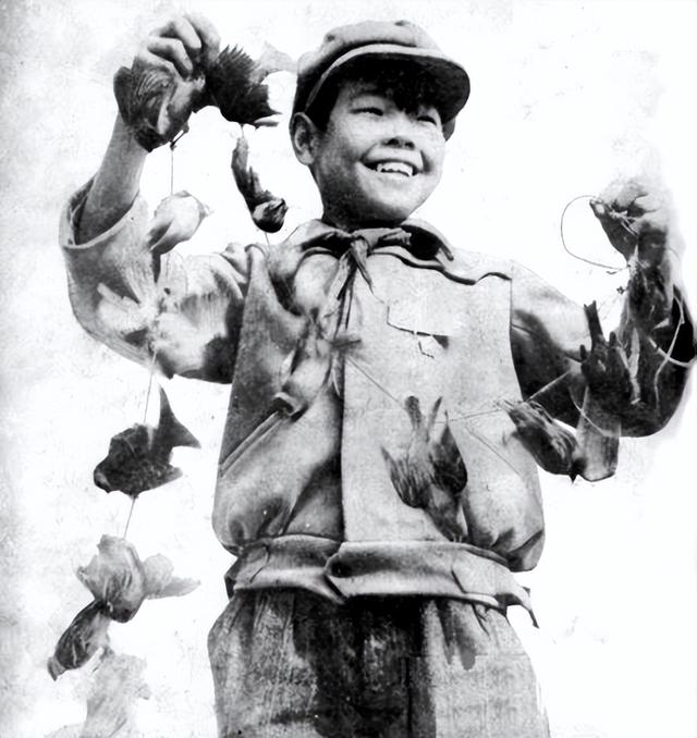 1958年全民打麻雀：工人、农民、学生齐上阵，麻雀被活活累死