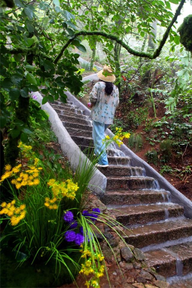 20℃夏日秘境！五莲现实版“绿野仙踪”来了！