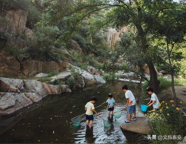 双节游泰安 | 拒绝“人挤人+没新意”！泰安更新隐藏宝藏地！
