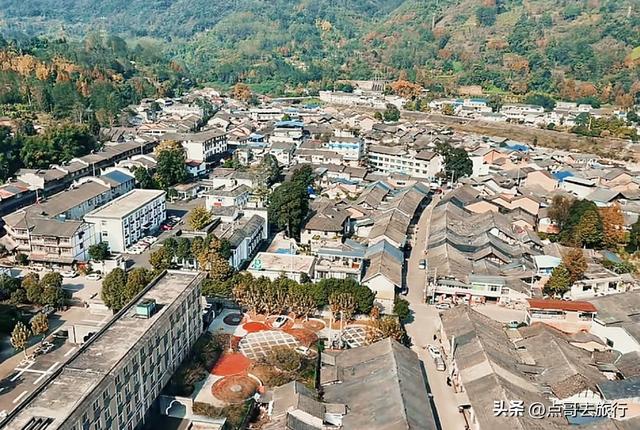 成都惊现6000亩梅林，花开成海超级壮观，免费，不要门票！