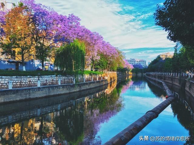牛粪开了眼！印度姐：昆明是中国最穷城市“超级贫民窟”