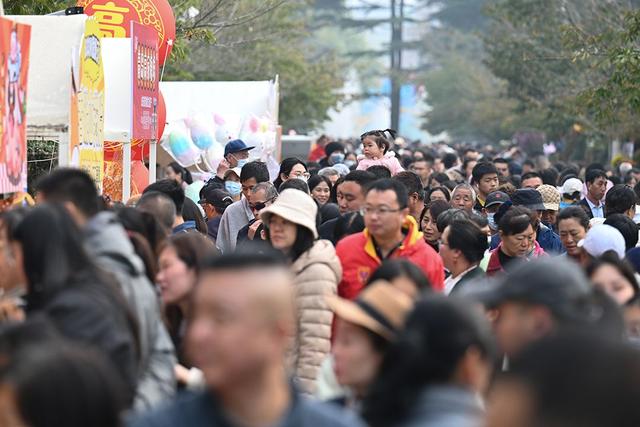 仪式感拉满 中山公园第41届菊展邀你共赴秋日之约