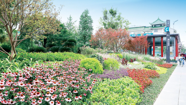 四川省青羊区历史沿革及行政区划