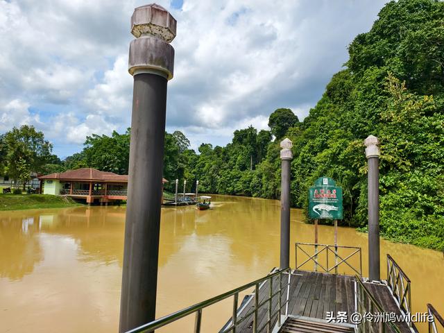 马来西亚(32)砂拉越州⑥世界遗产尼亚洞窟探险