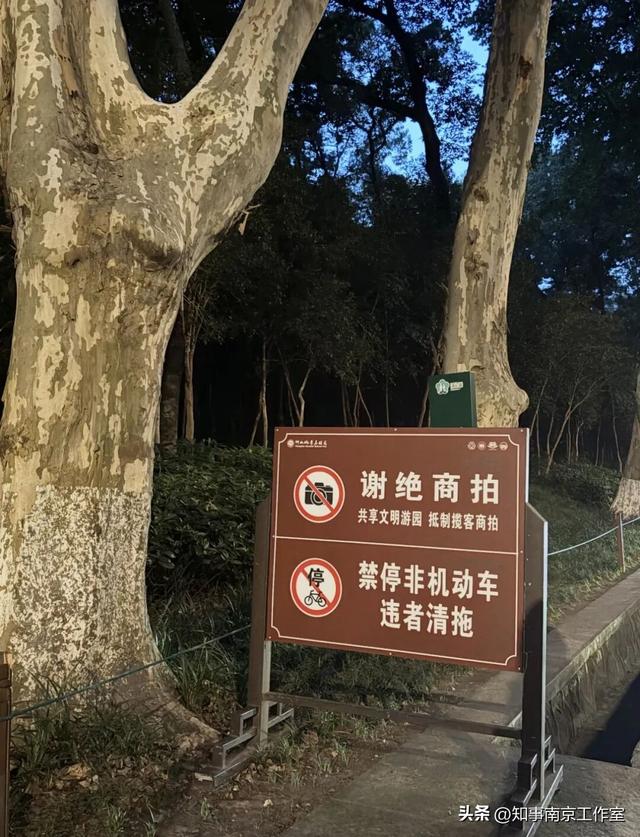 这块南京顶流打卡地居然变成这样了？