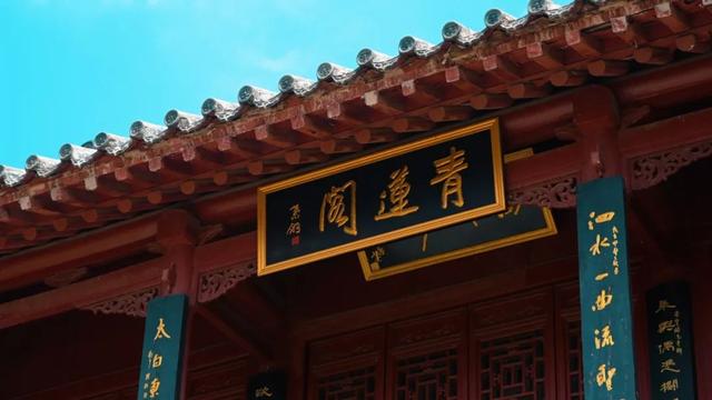 再不打卡济宁青莲公园，就要错过这 100% 出片的避暑美景啦