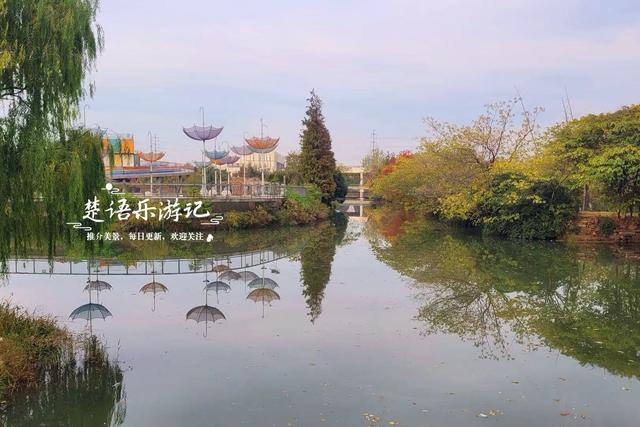 浙江宁波的水景公园，不仅是露营的好去处，还是银杏乌桕观赏胜地