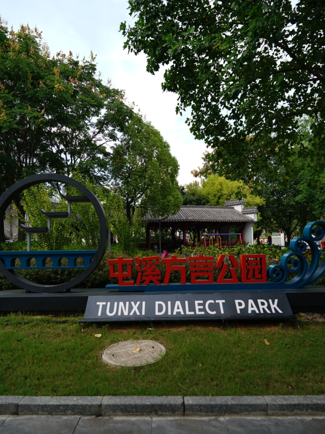 黄山治愈系打卡！20 分钟公园漫游，和“班味”说拜拜 | 皖美冬日 | 第十五届安徽国际文化旅游节