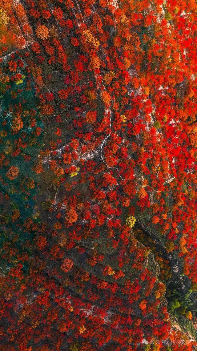 10月,再见;11月,你好!