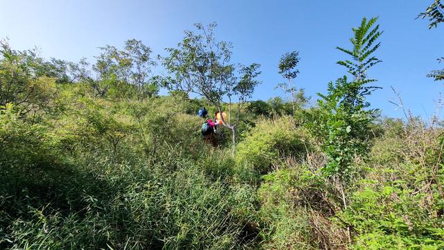 探秘西北梁：一场藏在封龙山余脉里的秋日驴行