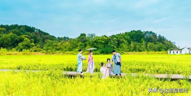 在鄂州，“巅峰相见”