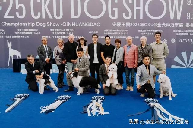 月华滨海共潮生|文艺海岸与康养新城的双节献礼——北戴河新区2025国庆中秋假期旅游市场精彩回顾