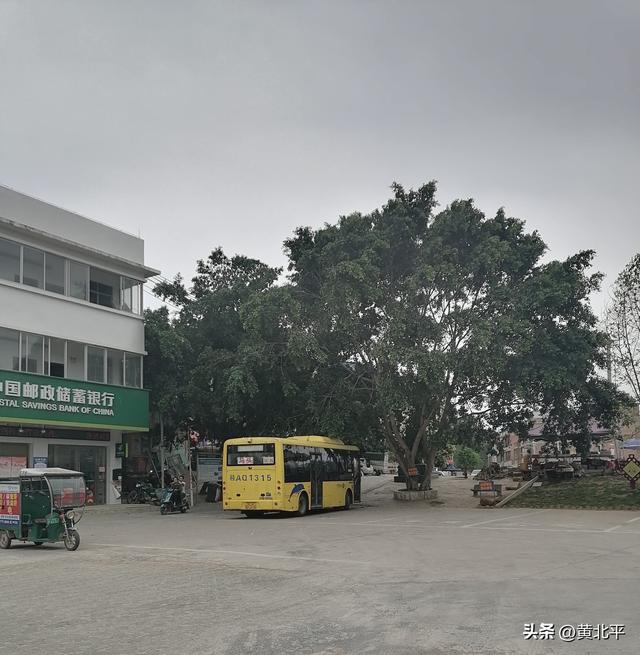 广西南宁市武鸣区没有养马却起名马头，与上林县也就是隔着大明山