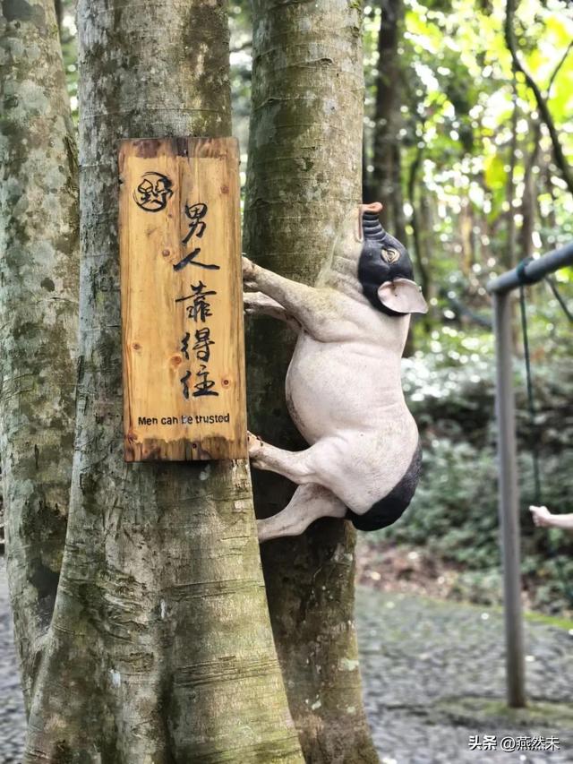 2天旅行，教会我的比职场10年都多
