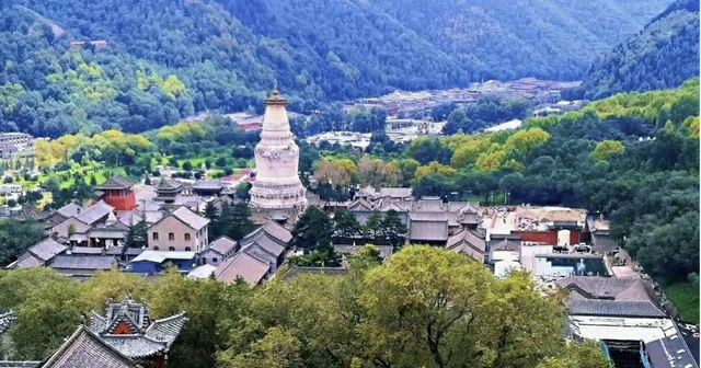山西独一份！黄河长城太行聚忻州，文博会领略“忻”风采