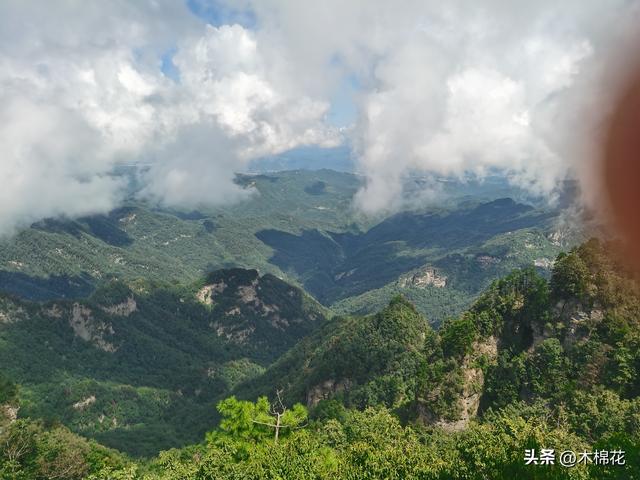 携宠旅游第二天