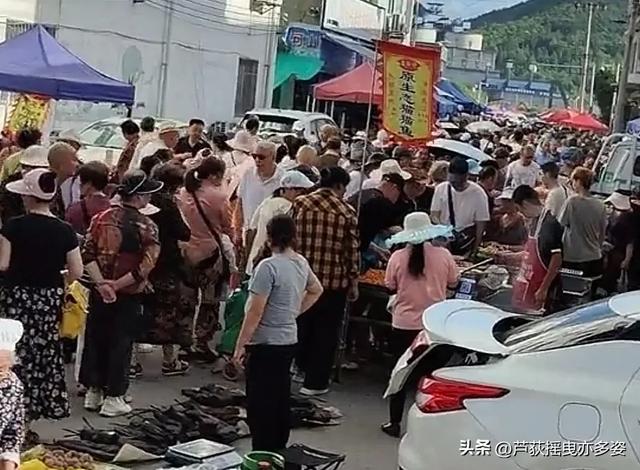 如果您想来贵州茅石镇避暑,两件事一定要弄清楚