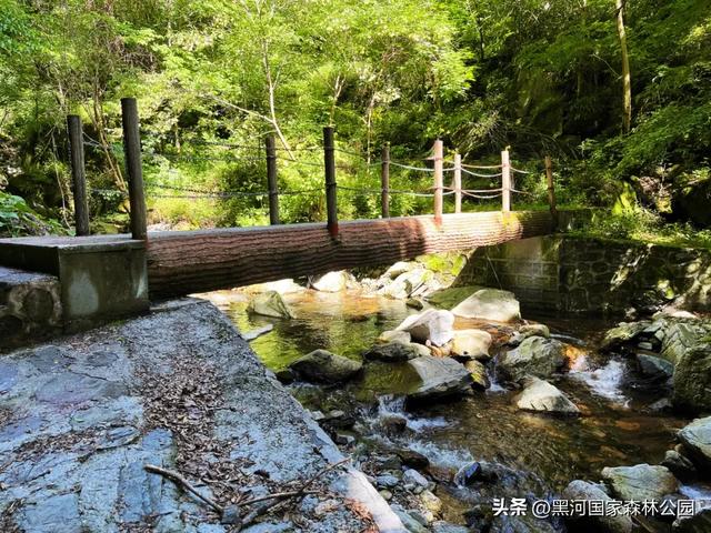 绿野仙踪+山水秘境！快来黑河抓住夏天的尾巴，奔赴一场绿意清凉之约