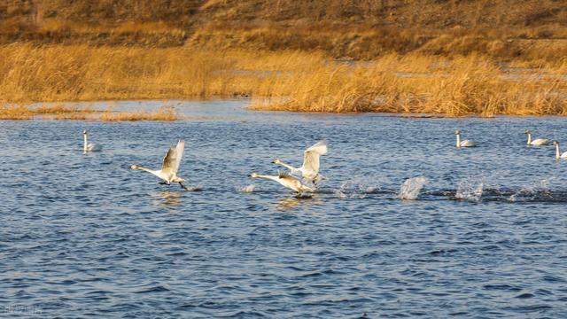宣化区：京西第一府的古城，在两天内感受跨越千年的历史回响