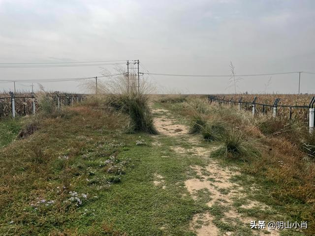 呼和浩特市托克托县田野考察笔记