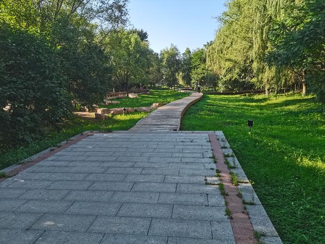 六问沈阳北塔公园空灵花海景点为何无花只有荒草