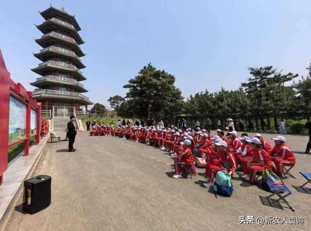 “我在彰武有棵树”生态主题研学游成果显著