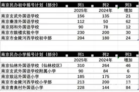 南京各区公布热点公办学校、民办学校电脑派位计划图片